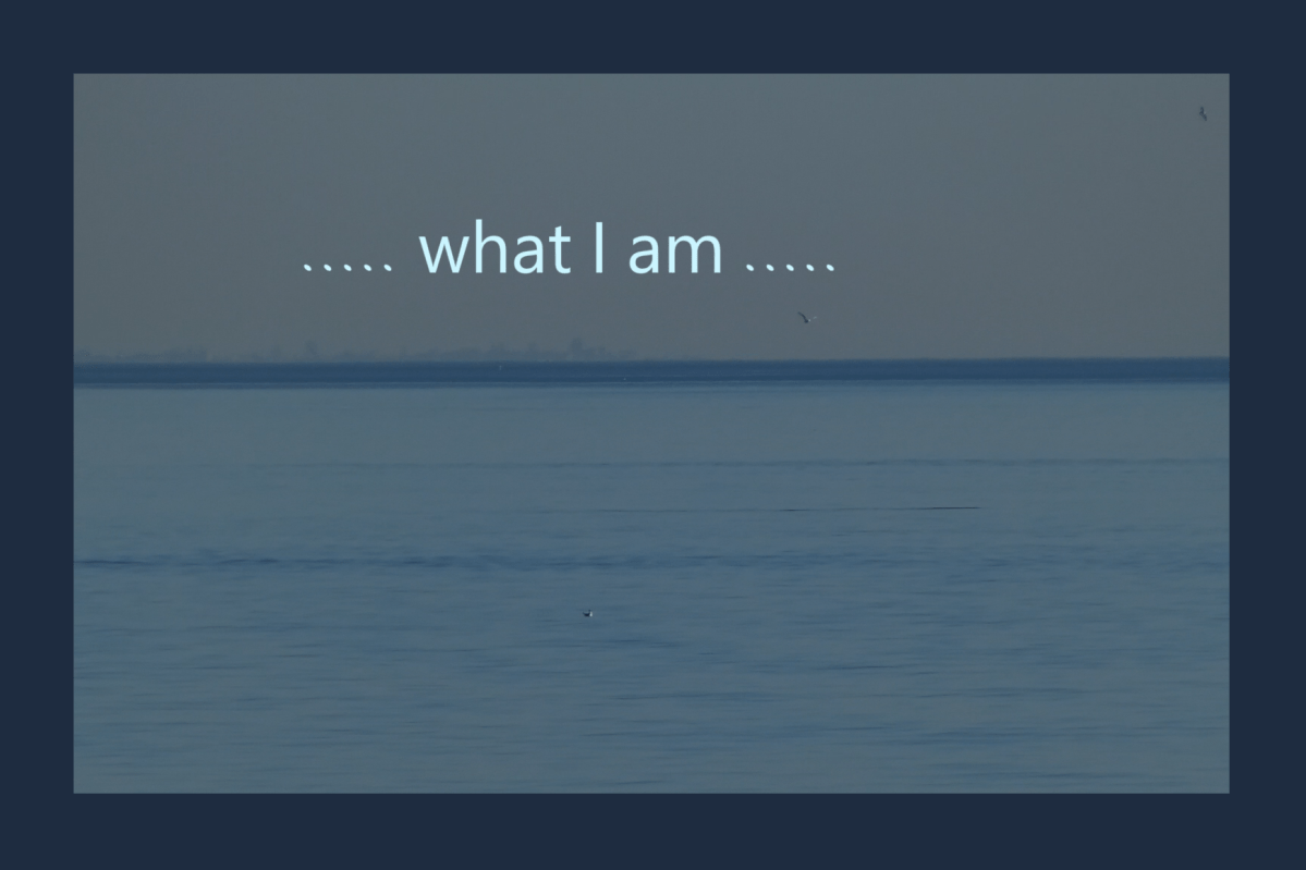 Mornington Meditation #1 A&nbsp;Bee